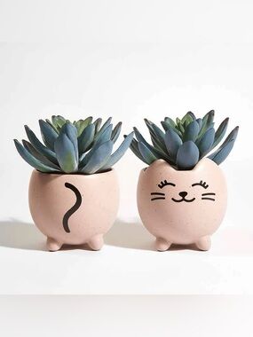 Purrfect Cat Planter / Succulent Pot